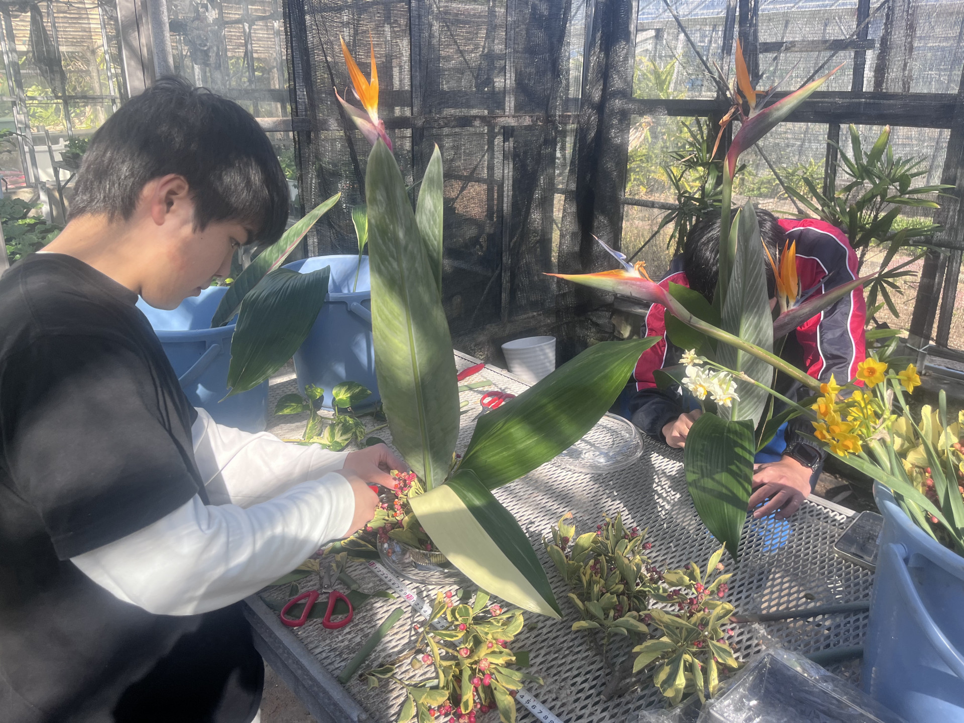 Image - 2026-01-21T172126.114